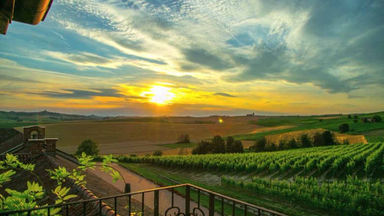 Sunset view over vineyards at TM Relais estate, offering luxury hospitality in serene countryside.
