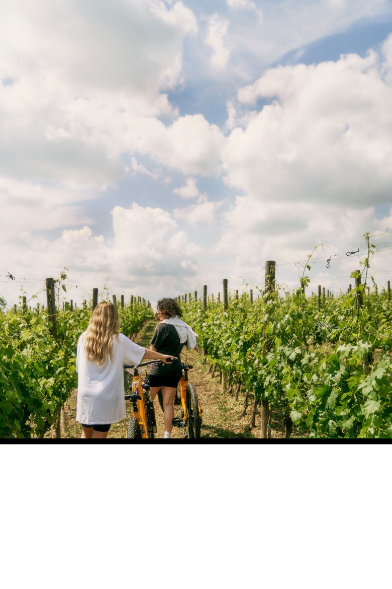 Cycling through the vineyards at TM Relais for a serene and luxurious outdoor experience.