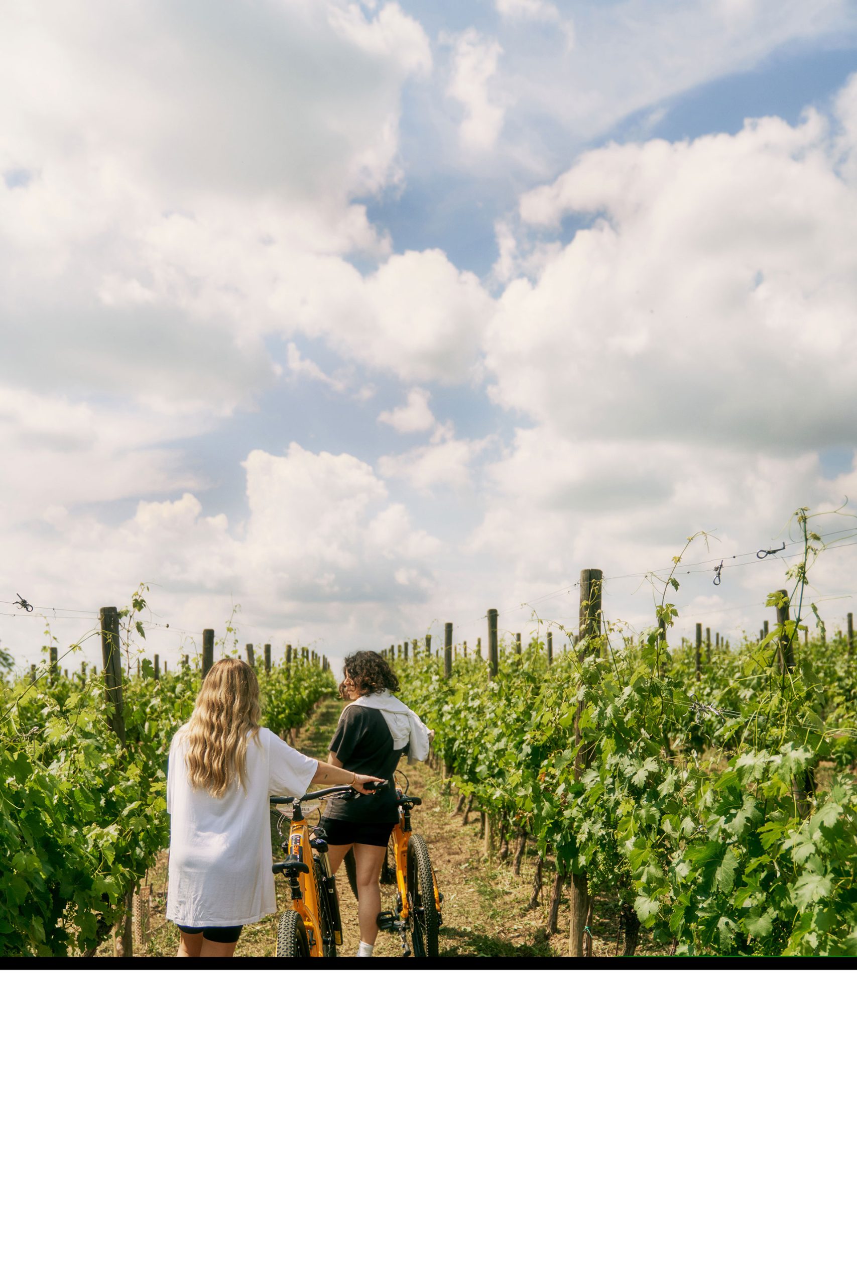 Cycling through the vineyards at TM Relais for a serene and luxurious outdoor experience.